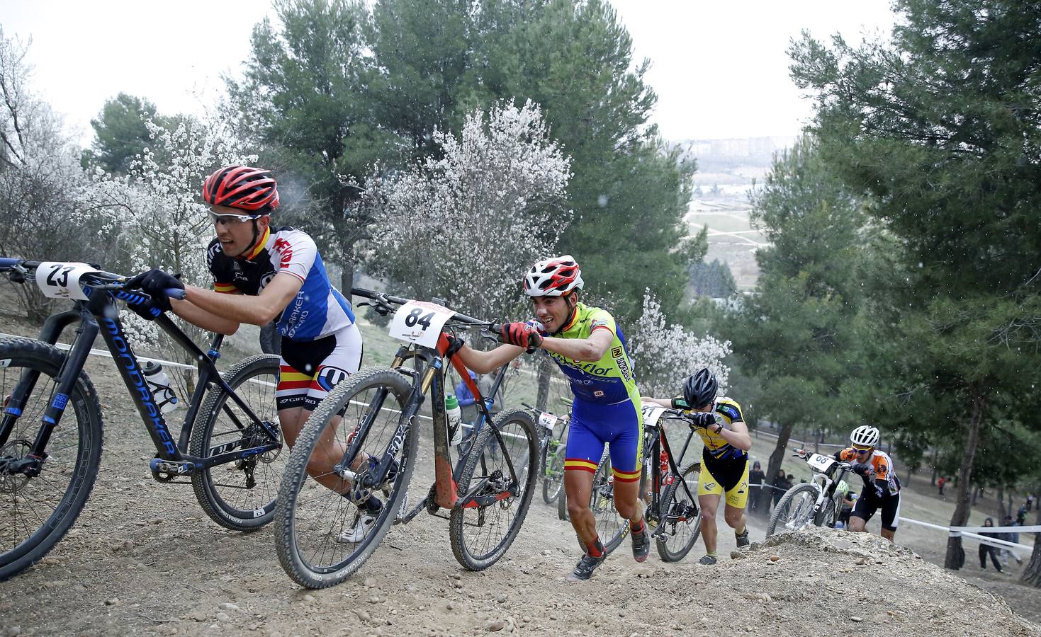 Internacionales Ciudad de Valladolid de Cross Country Olímpico