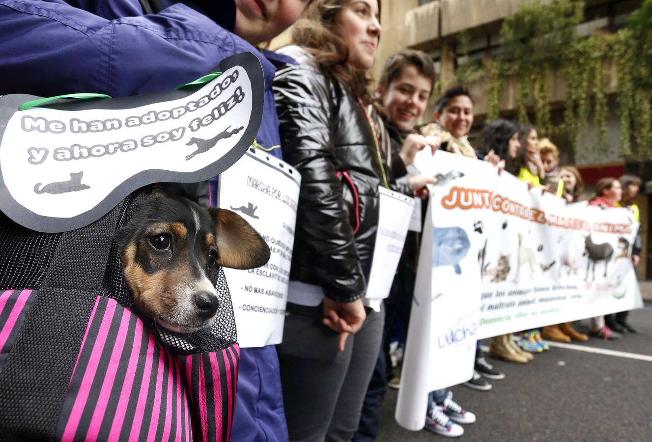 Marcha por los derechos de los animales en León