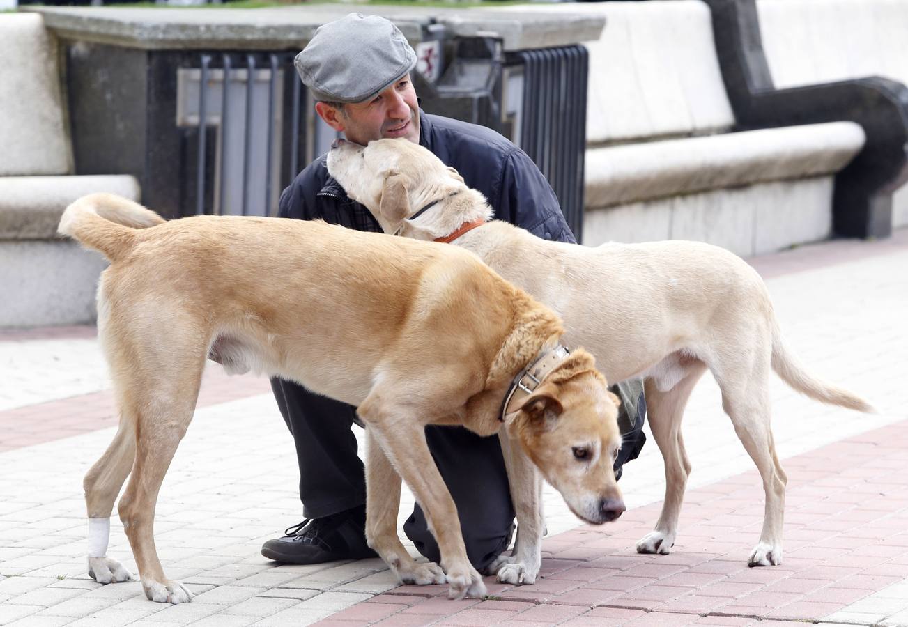 Marcha por los derechos de los animales en León