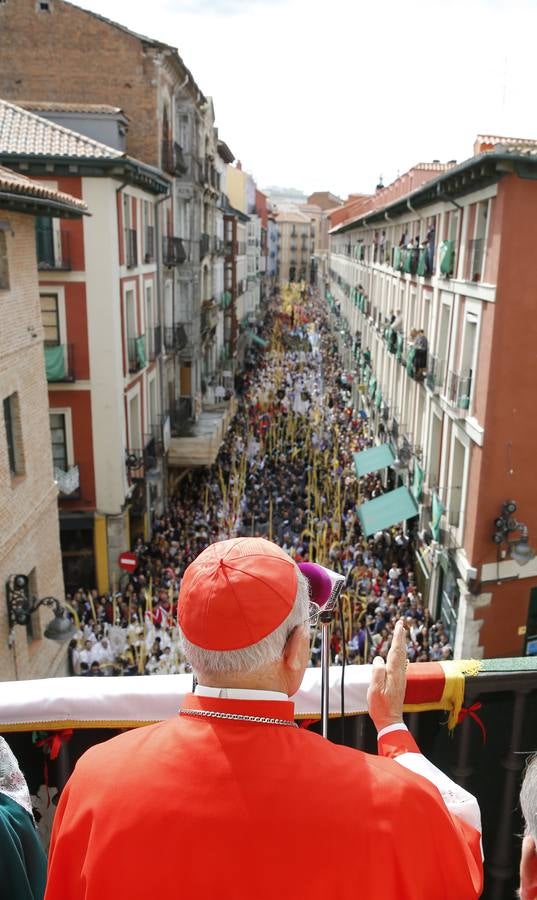 Multitudinaria procesión de las Palmas en Valladolid (1/2)