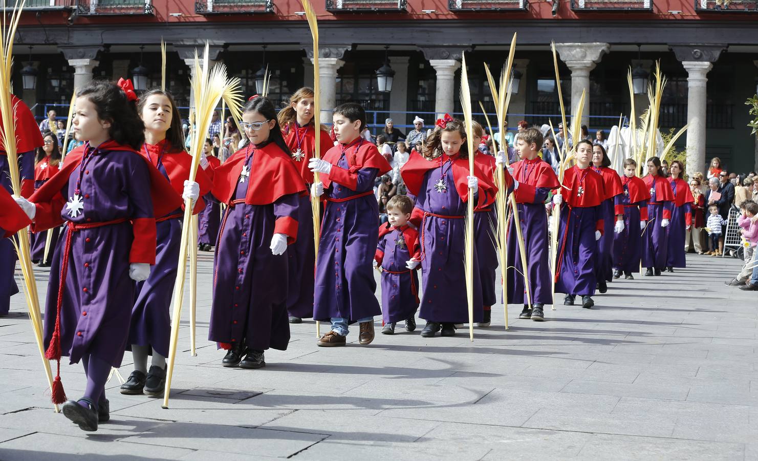 Multitudinaria procesión de las Palmas en Valladolid (2/2)