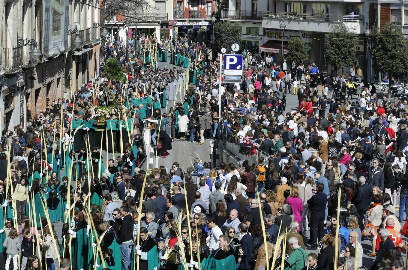 Multitudinaria procesión de las Palmas en Valladolid (2/2)