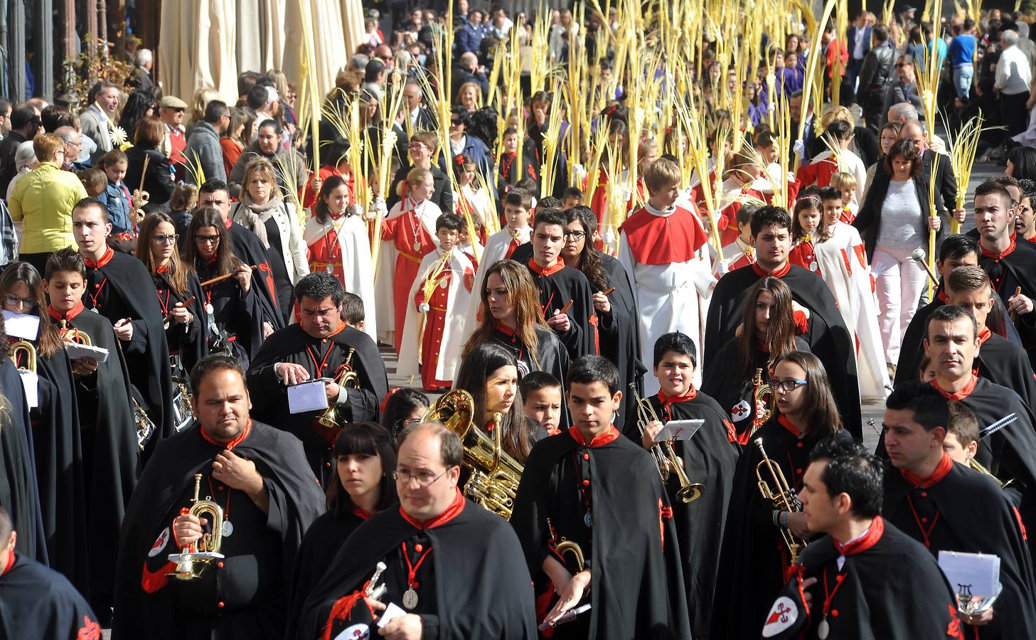 Procesión de la borriquilla en Medina del Campo