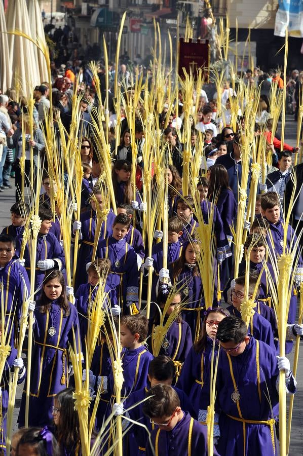 Procesión de la borriquilla en Medina del Campo