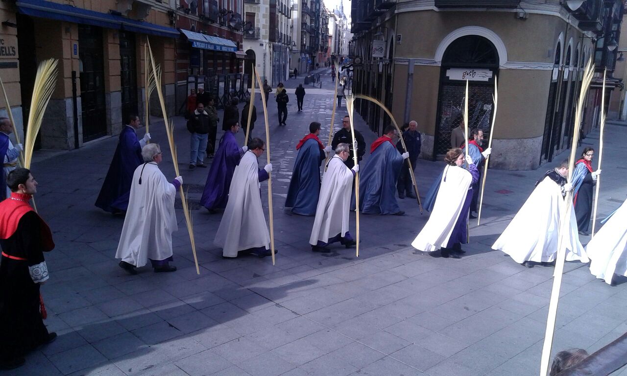 Procesión de las Palmas en Valladolid