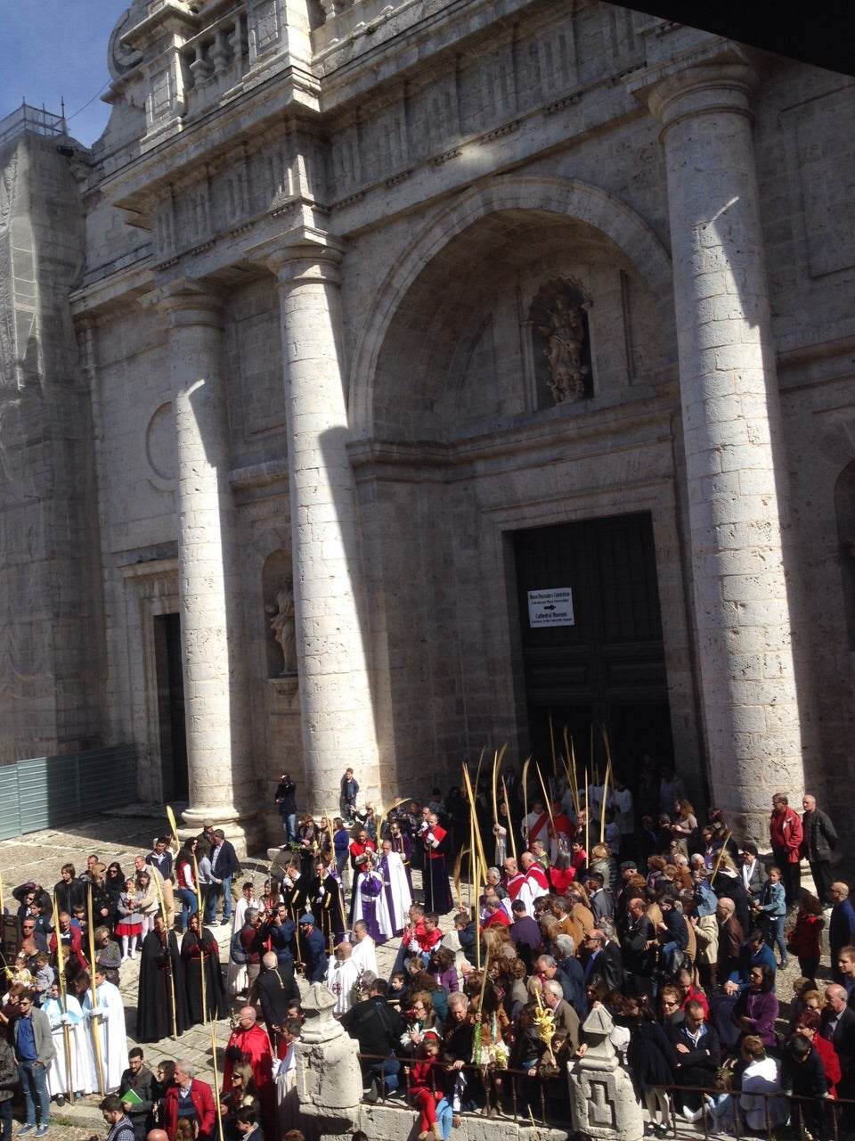 Procesión de las Palmas en Valladolid