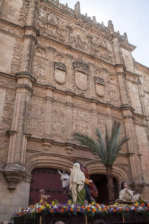 Procesión del Domingo de Ramos en Salamanca