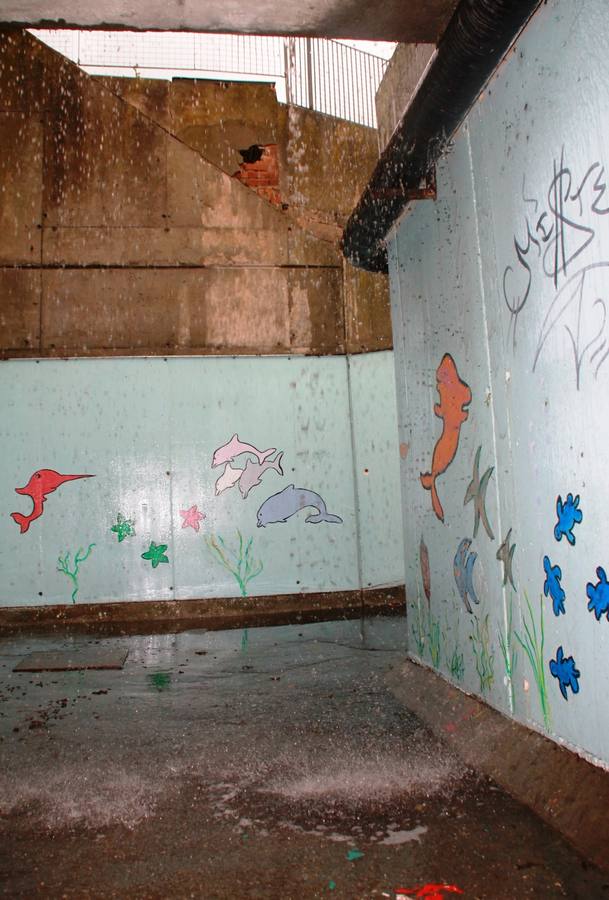 Consecuencias de la tormenta en Simancas