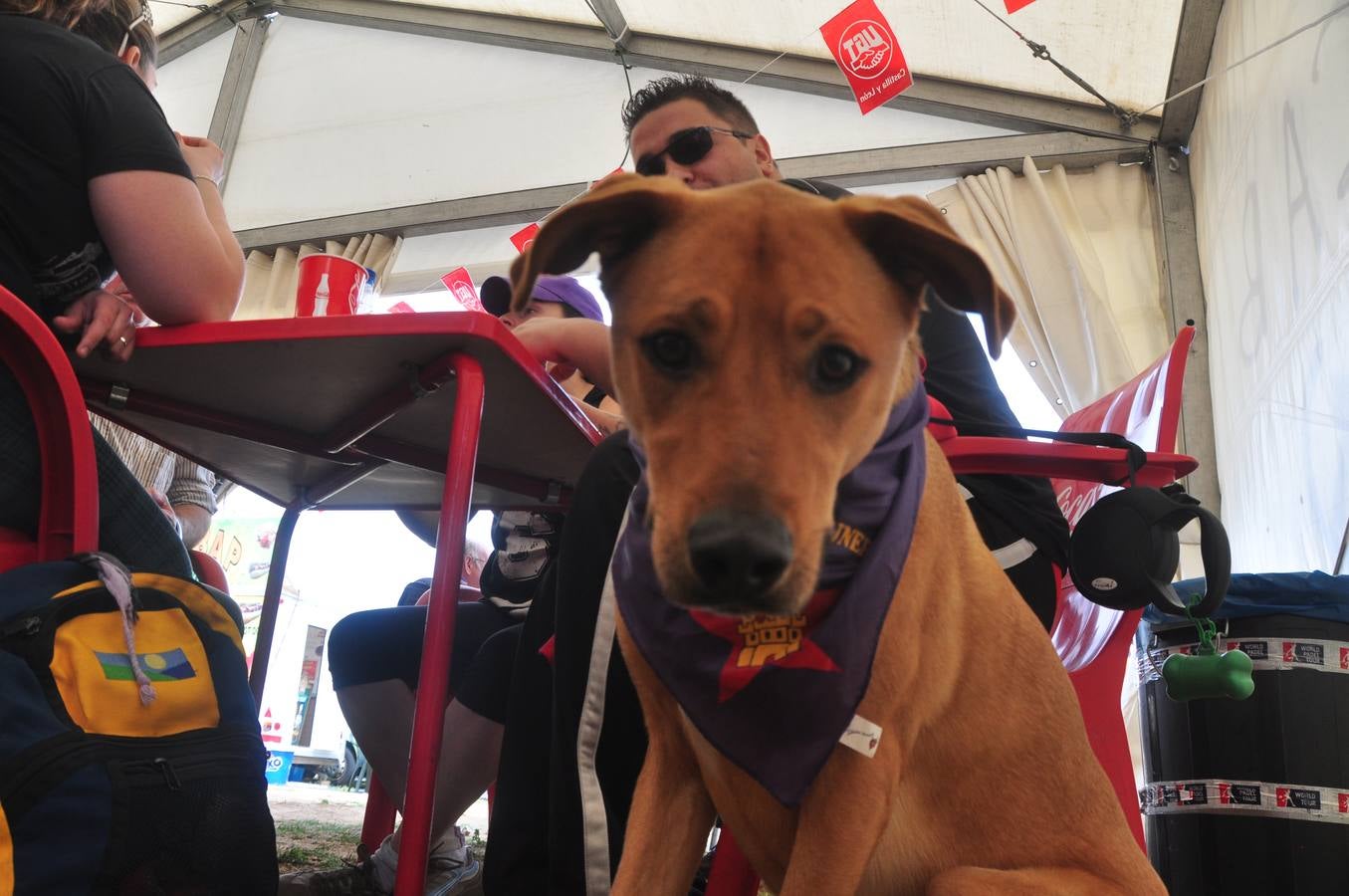 Gran ambiente en Villalar en la celebración del Día de la Comunidad (2/3)