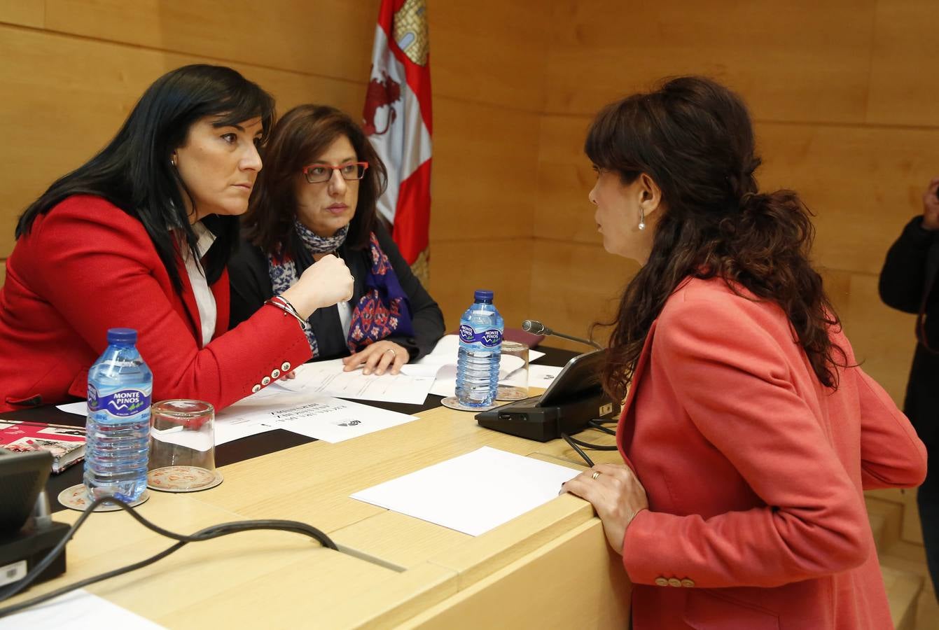 Comparecencia deTomás Villanueva ante la Diputación Permanente de las Cortes