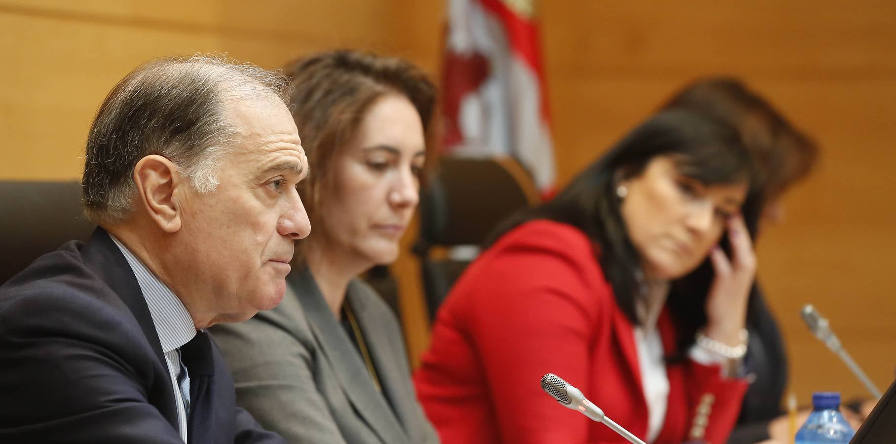 Comparecencia deTomás Villanueva ante la Diputación Permanente de las Cortes