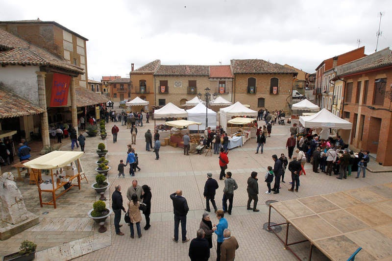 Feria de la Tradición en Cisneros (Palencia)