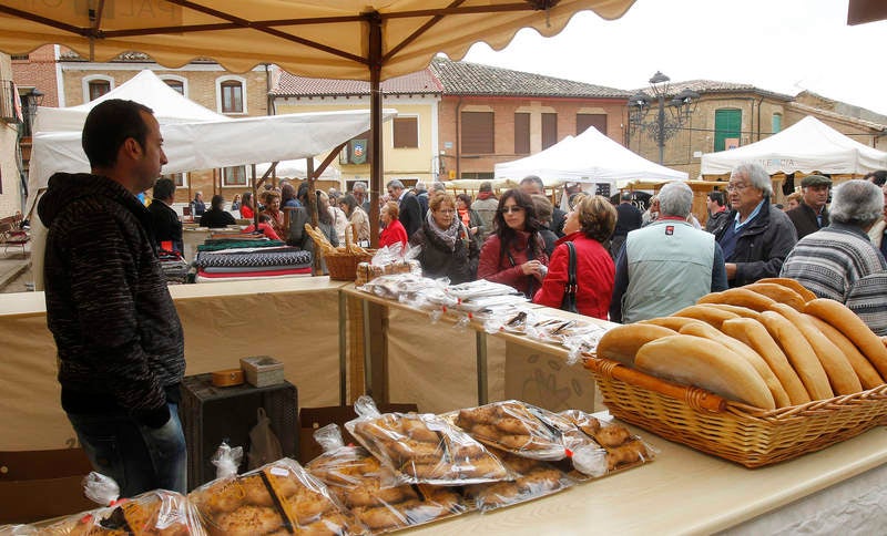 Feria de la Tradición en Cisneros (Palencia)