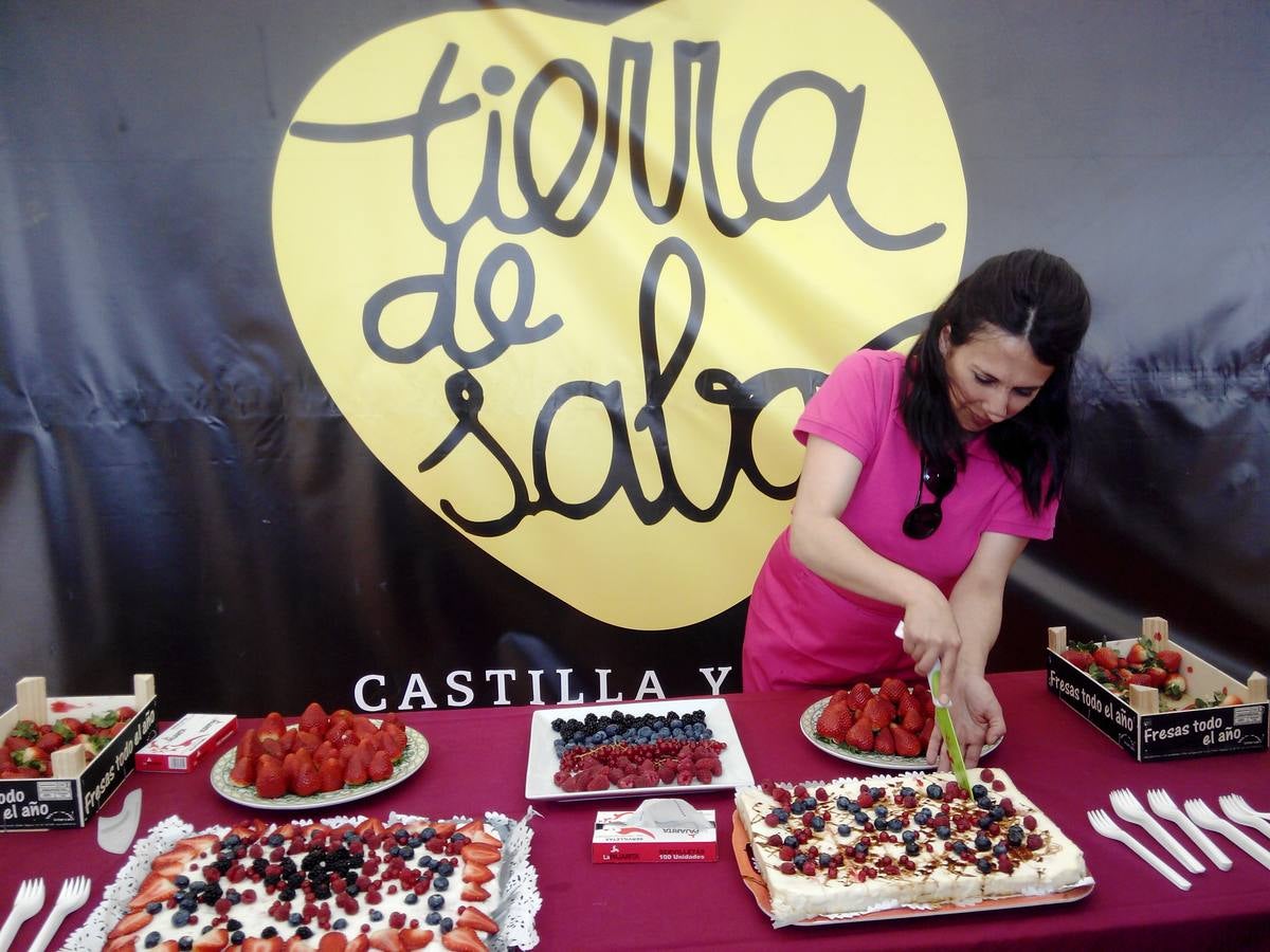 Feria Comarcal de Cuéllar (Segovia)