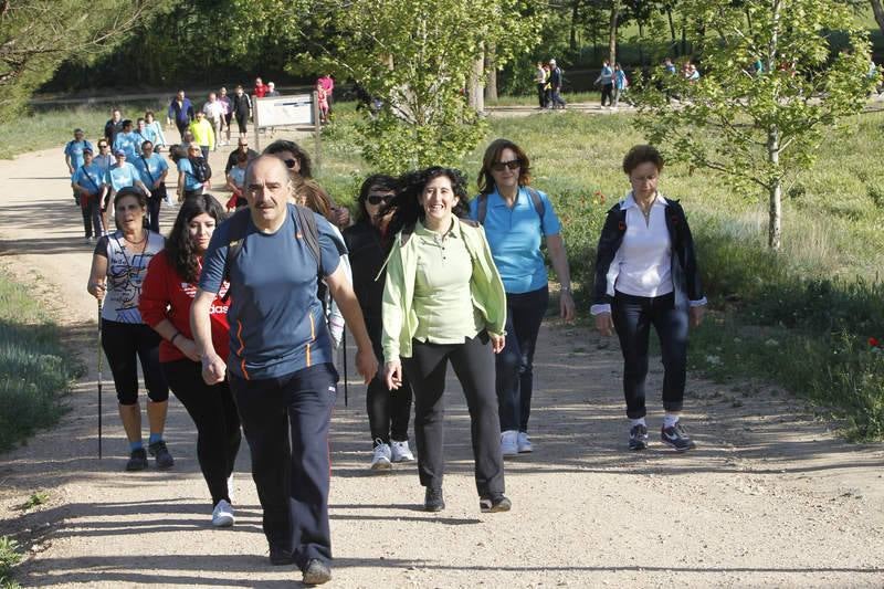 Sexta edición de la Marcha Aspanis en Palencia