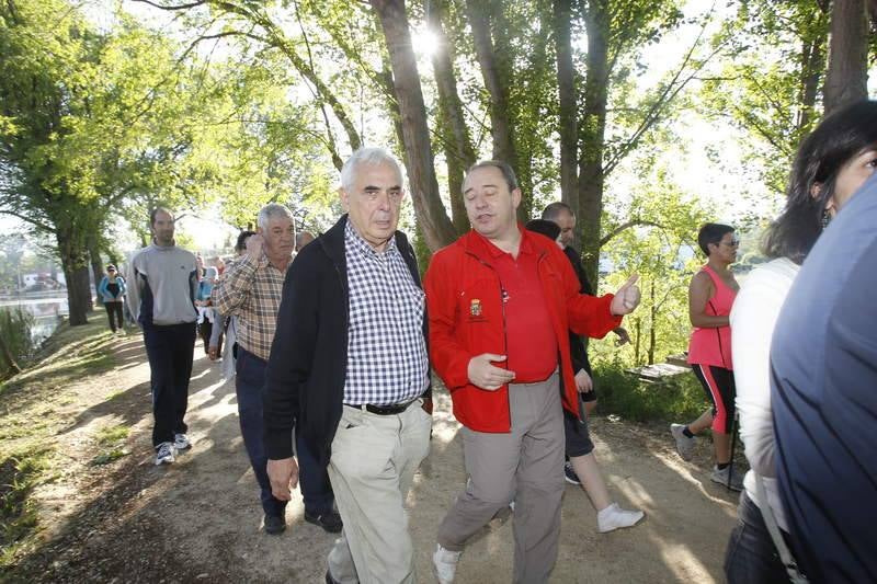 Sexta edición de la Marcha Aspanis en Palencia