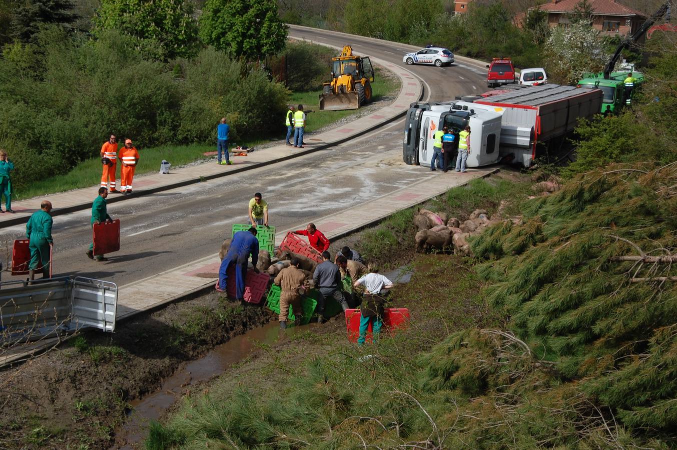 Vuelca un camión cargado de cerdos en la carretera de León a Guardo (Palencia)