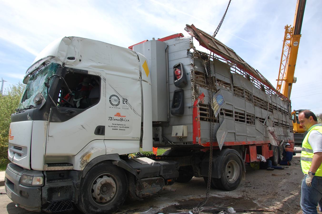 Vuelca un camión cargado de cerdos en la carretera de León a Guardo (Palencia)