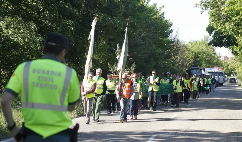 Romería de San Isidro en Dueñas (Palencia)