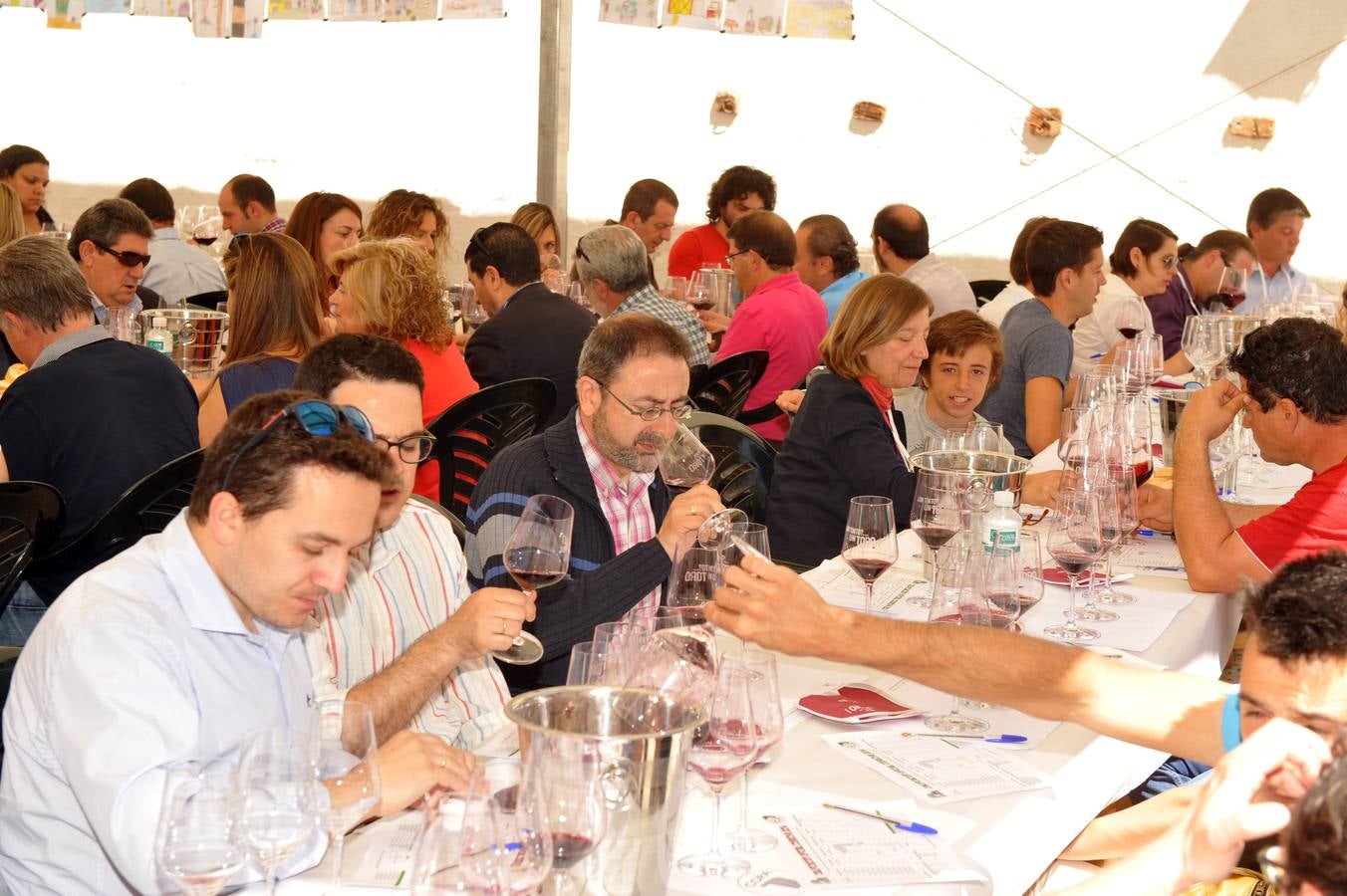 Feria del vino de la D. O. Toro