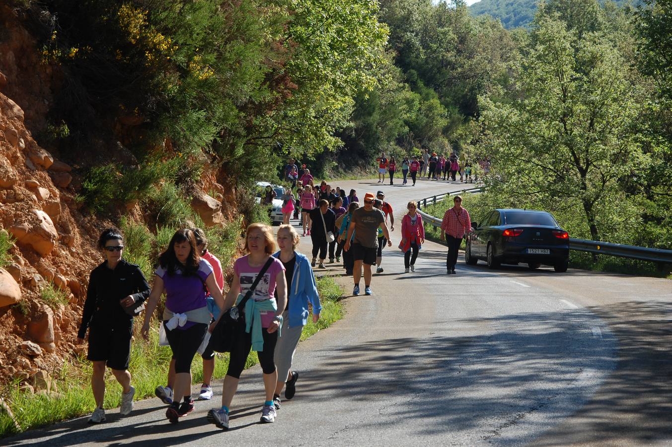 Marcha Adecas en Palencia (1/2)