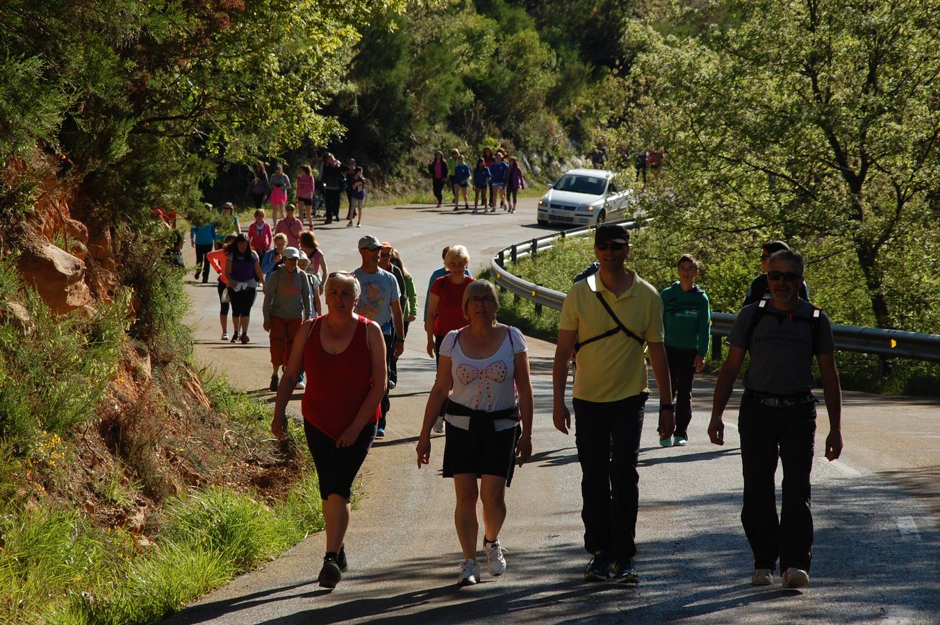 Marcha Adecas en Palencia (1/2)