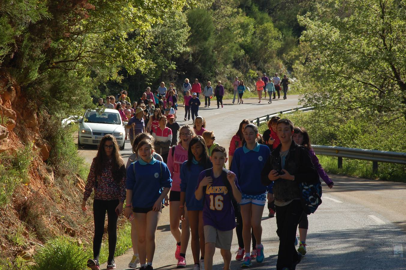 Marcha Adecas en Palencia (1/2)