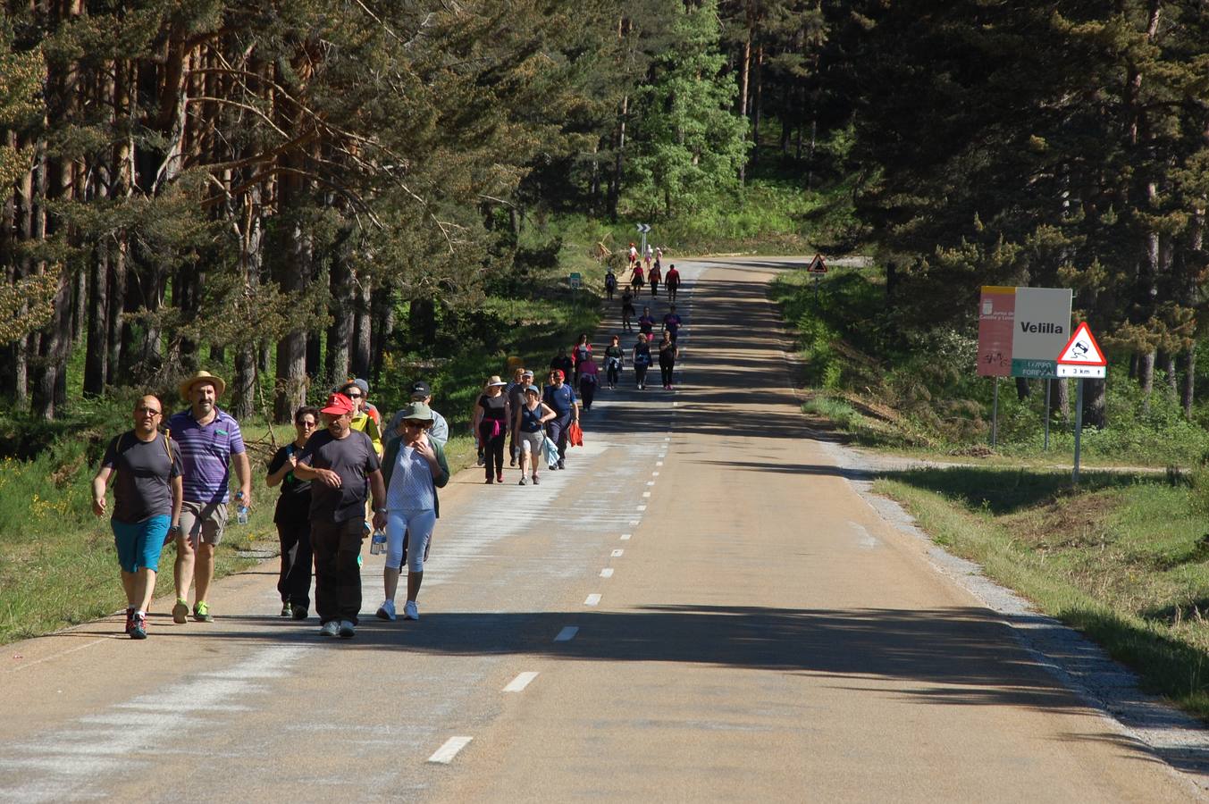 Marcha Adecas en Palencia (1/2)