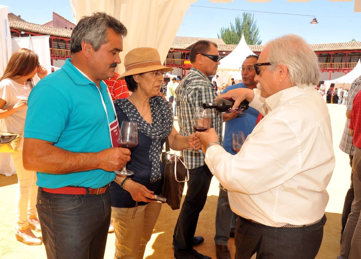 Jornada del domingo de la Feria del vino de la D. O. Toro