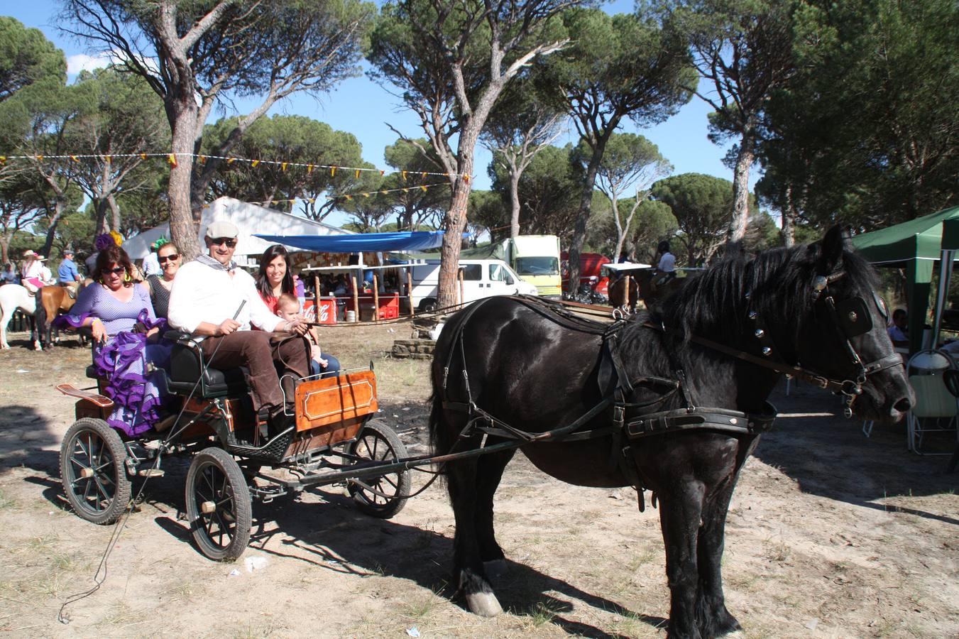 Feria de Primavera de Nava de la Asunción (Segovia)