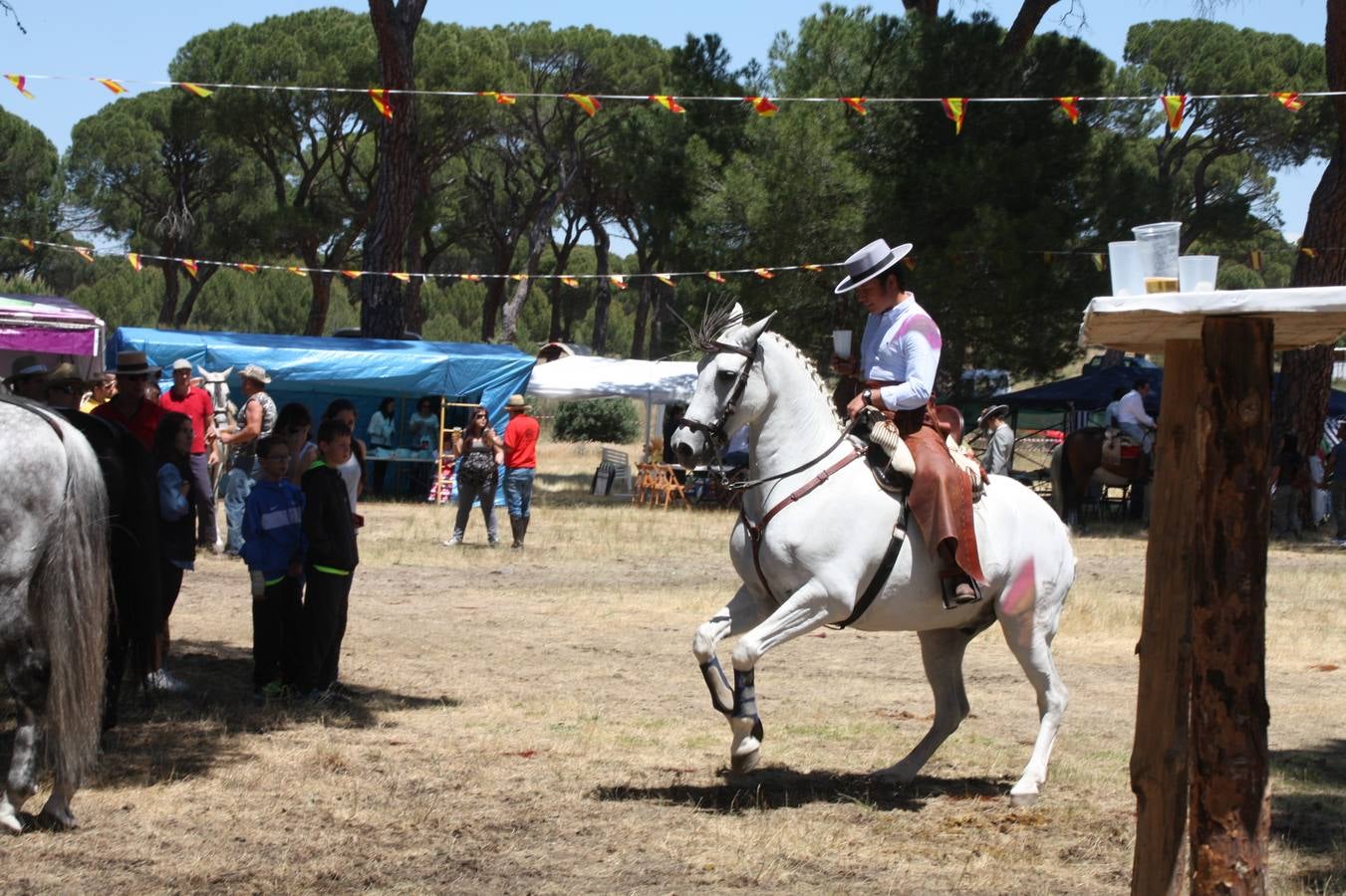 Feria de Primavera de Nava de la Asunción (Segovia)