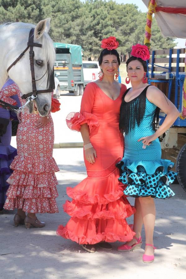 Feria de Primavera de Nava de la Asunción (Segovia)