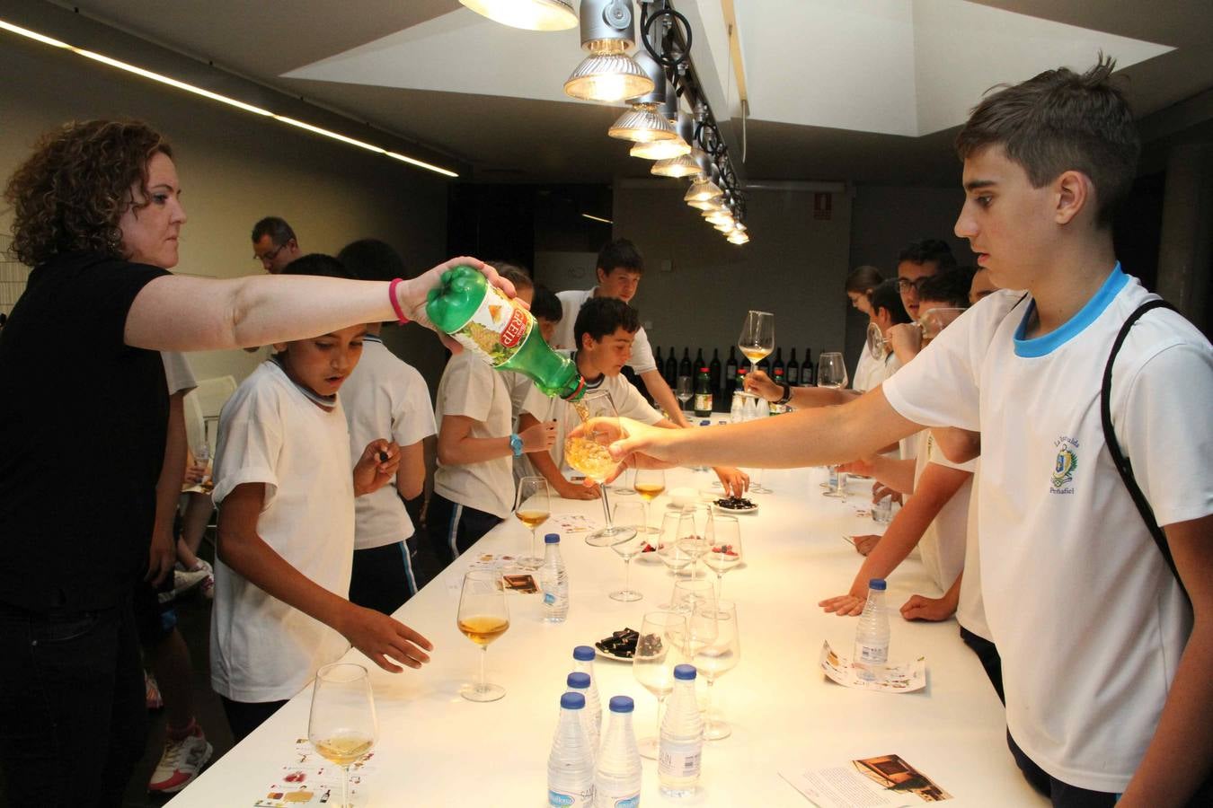 Alumnos de la Inmaculada de Peñafiel participan en un taller de poda en la bodega Cepa 21