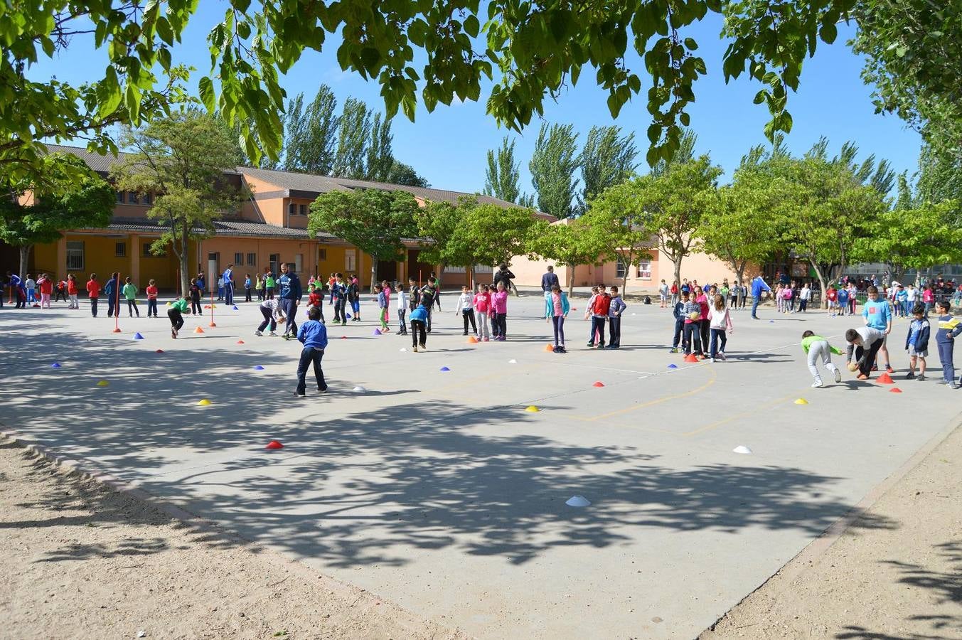 Alumnos del Miguel Delibes practican judo y balonmano con deportistas de élite