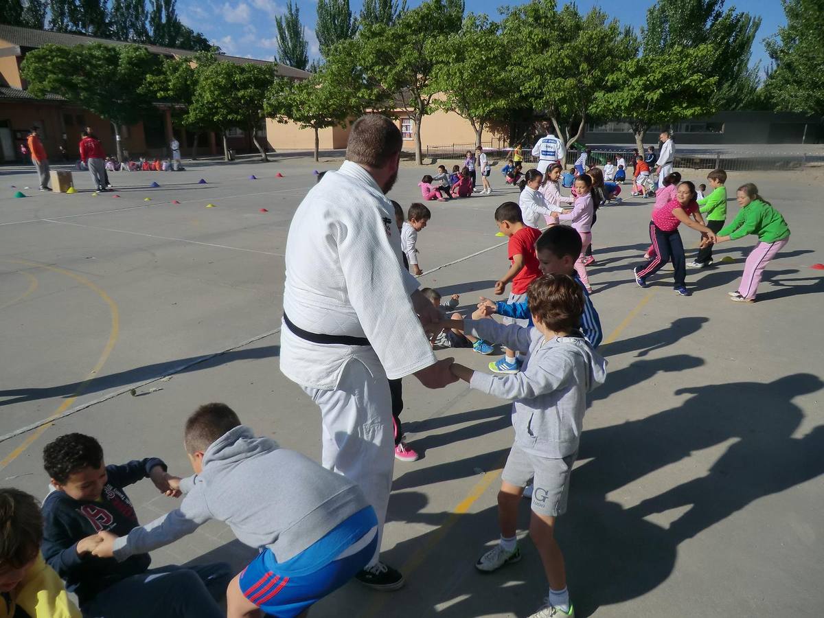 Alumnos del Miguel Delibes practican judo y balonmano con deportistas de élite
