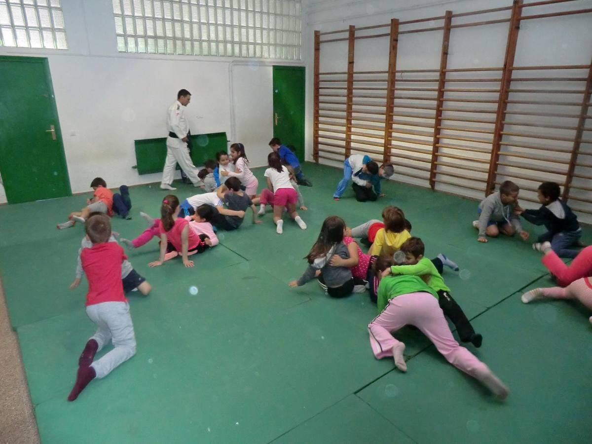Alumnos del Miguel Delibes practican judo y balonmano con deportistas de élite