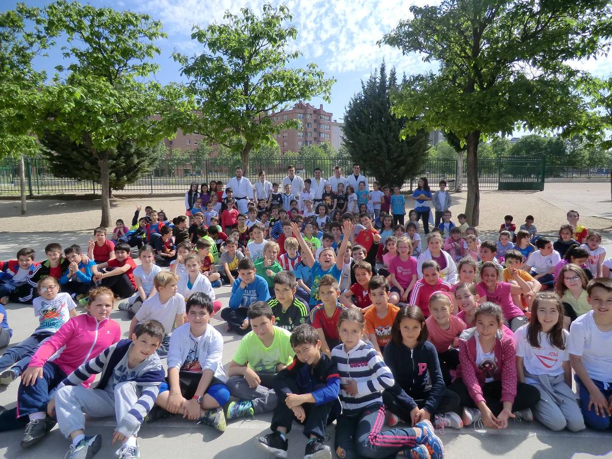 Alumnos del Miguel Delibes practican judo y balonmano con deportistas de élite