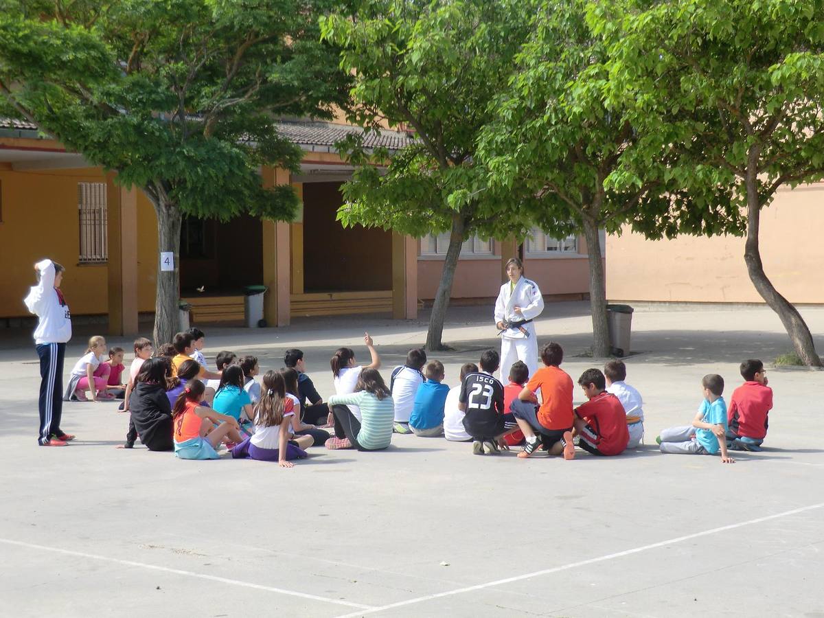 Alumnos del Miguel Delibes practican judo y balonmano con deportistas de élite