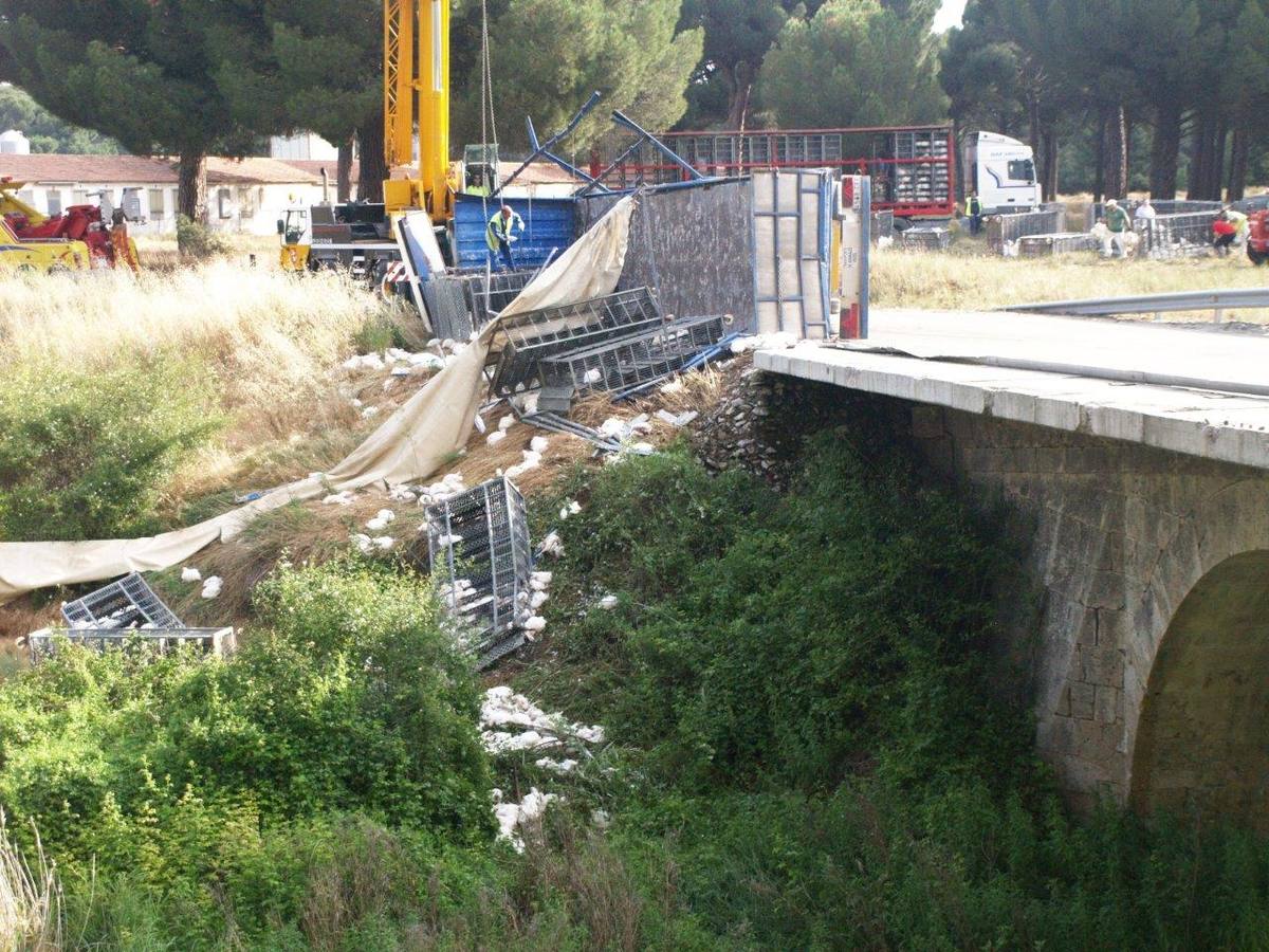 Un camión cargado con 7.000 pollos sufre un accidente en Íscar