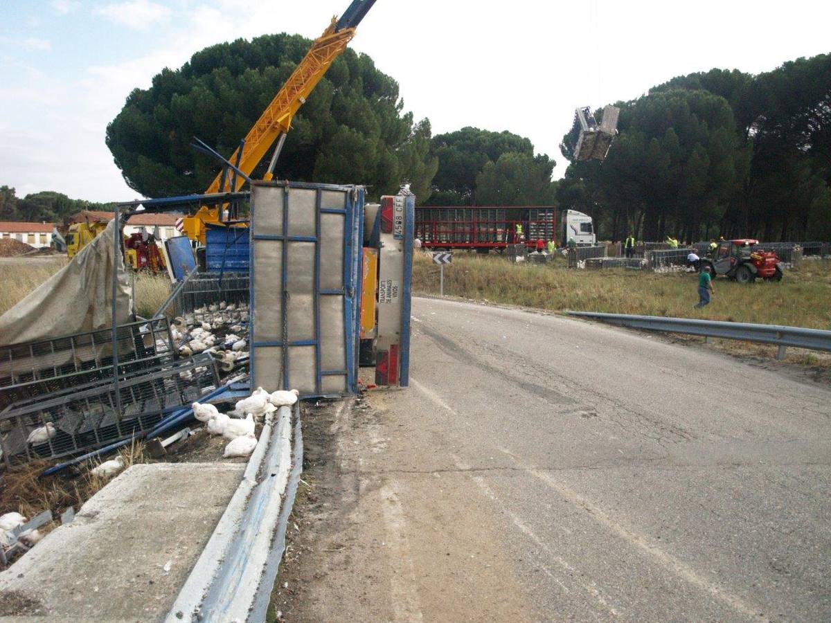Un camión cargado con 7.000 pollos sufre un accidente en Íscar