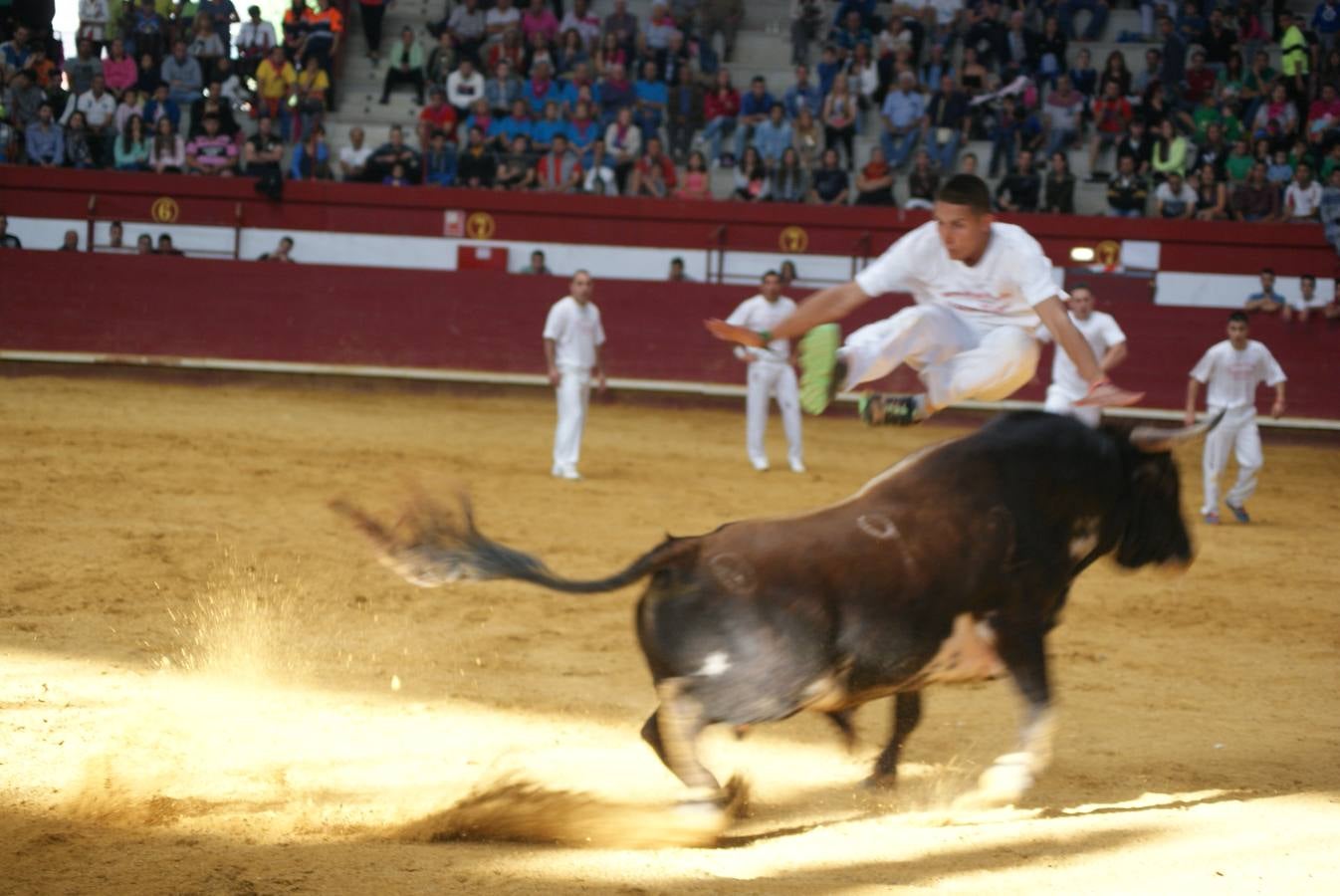 Concurso de Cortes de La Flecha