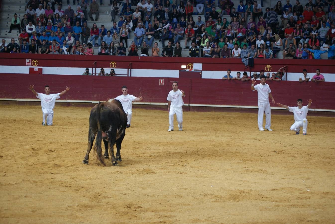 Concurso de Cortes de La Flecha