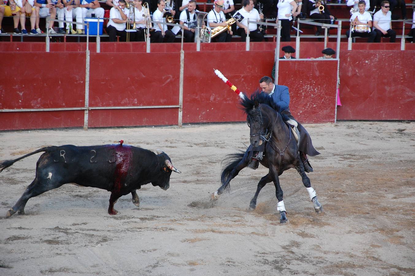 Guardo (Palencia) celebra San Antonio (1/2)