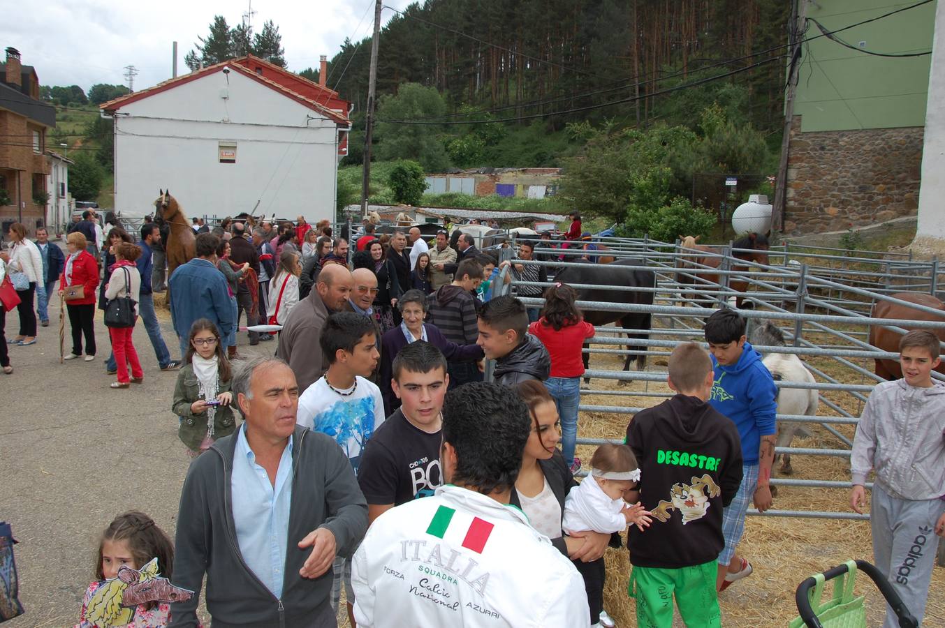 Guardo (Palencia) celebra San Antonio (1/2)