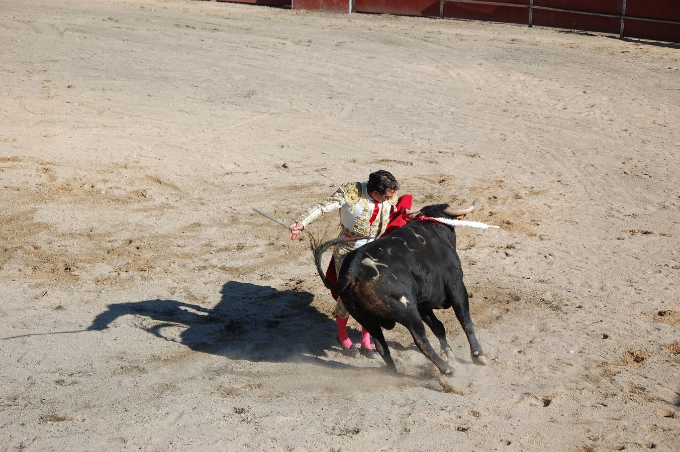 Guardo (Palencia) celebra San Antonio (1/2)