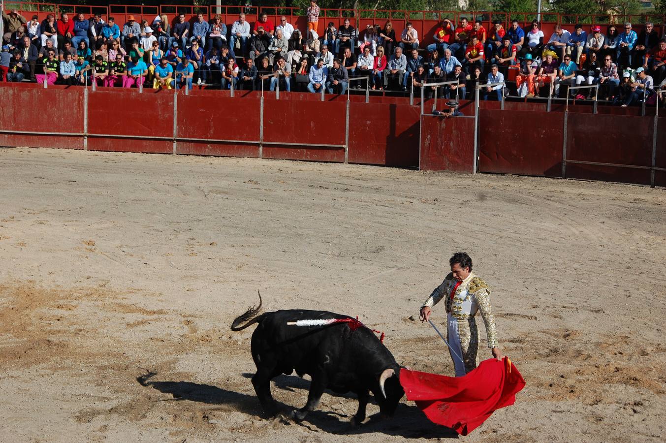 Guardo (Palencia) celebra San Antonio (1/2)