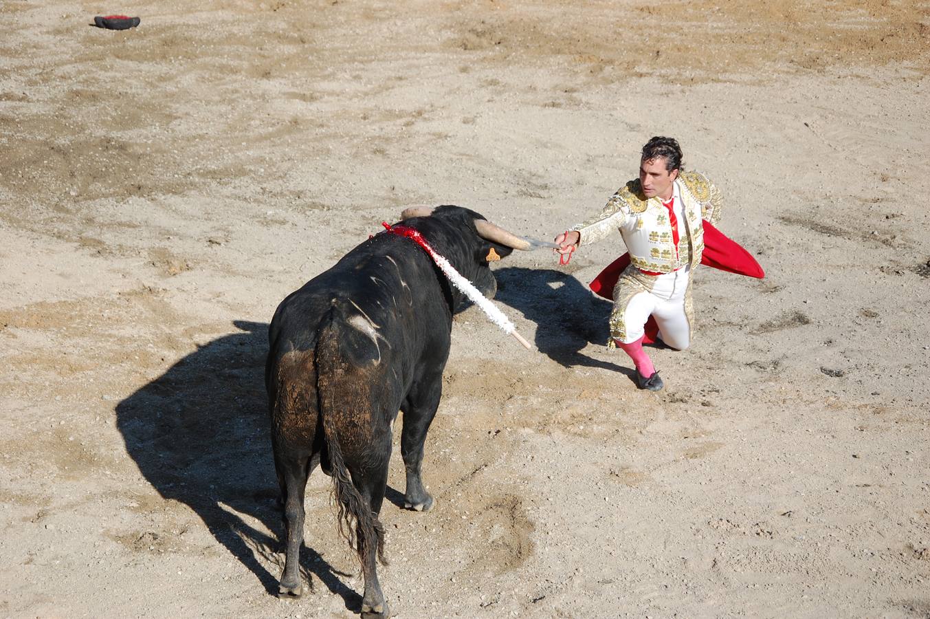 Guardo (Palencia) celebra San Antonio (1/2)