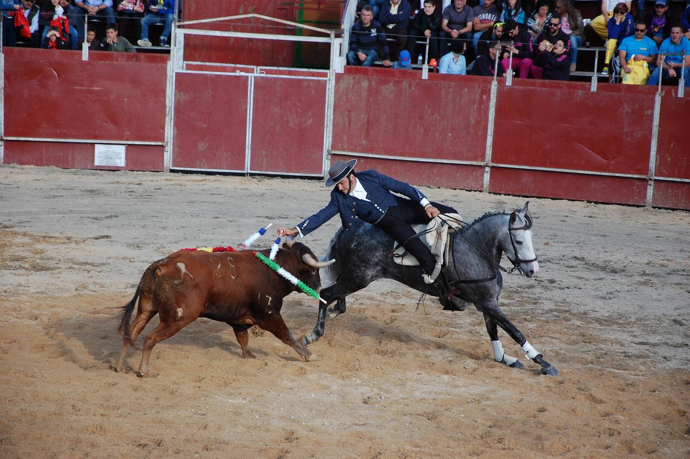 Guardo (Palencia) celebra San Antonio (2/2)