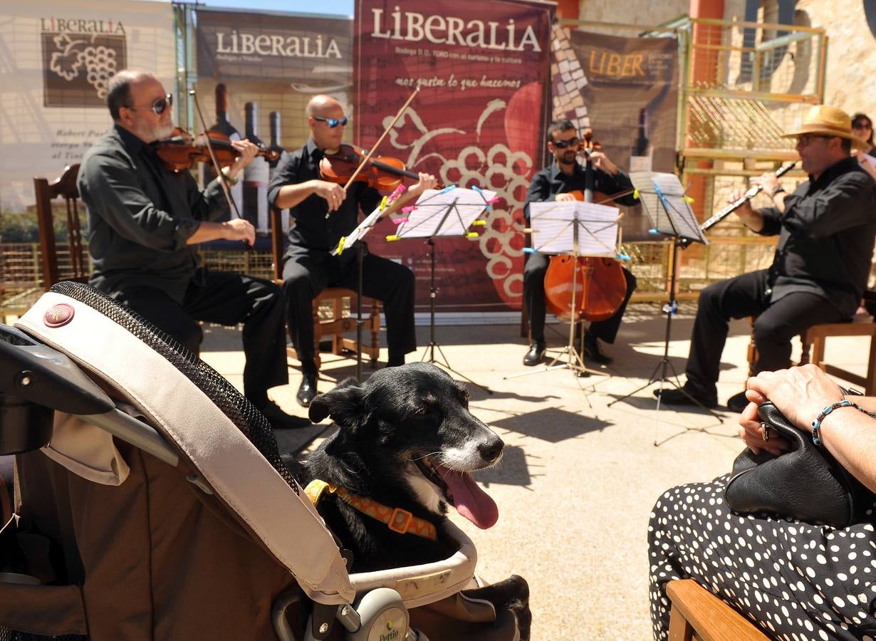 Concierto para perros en &#039;Bodegas Liberalia&#039;