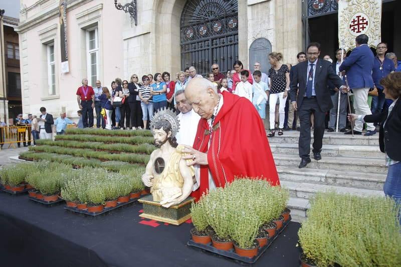 Reparto de tomillo bendecido en Palencia para honrar a San Juan